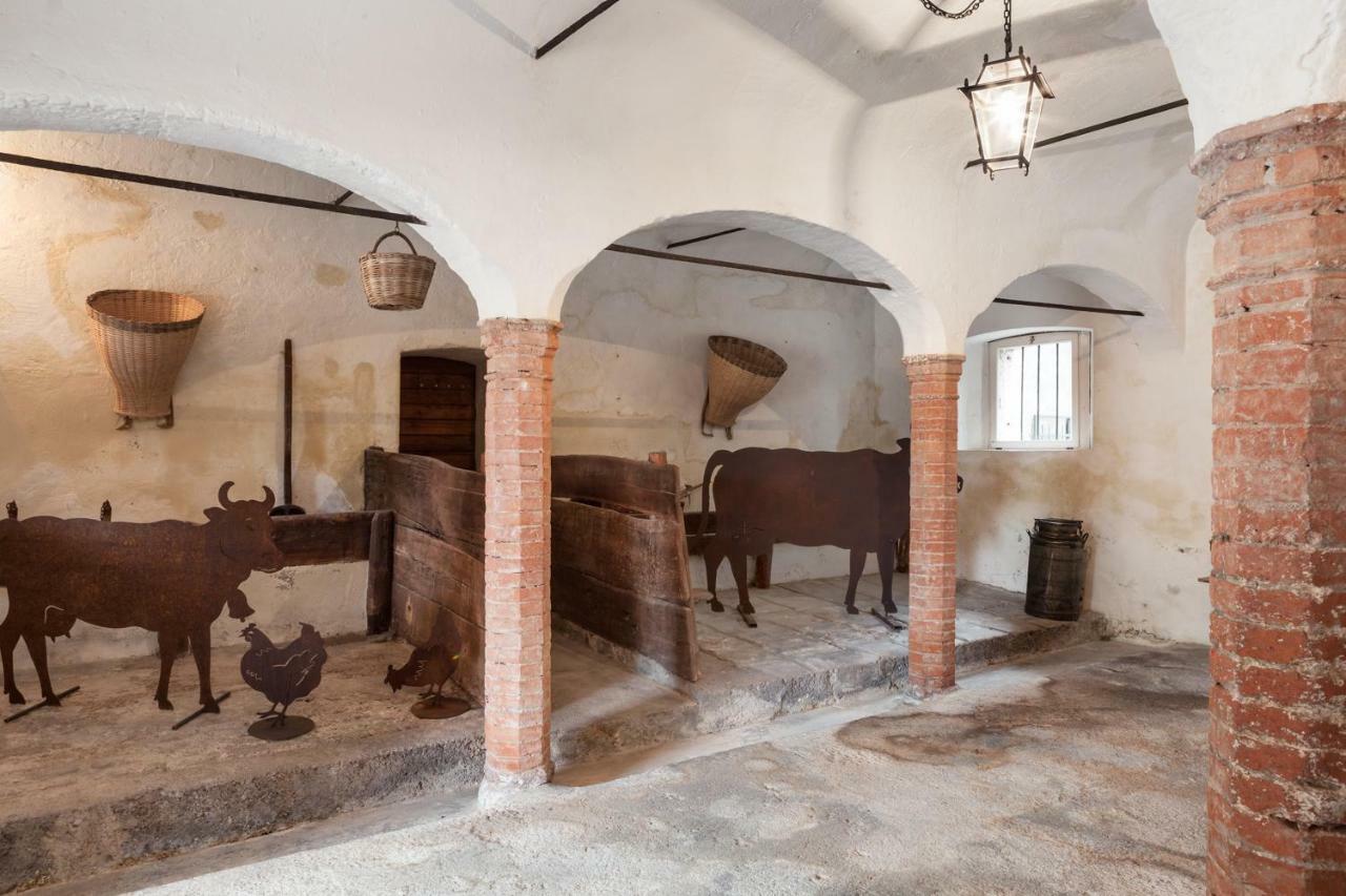 Colvago Cima Dodici - Dolomites National Park Apartman Santa Giustina Kültér fotó